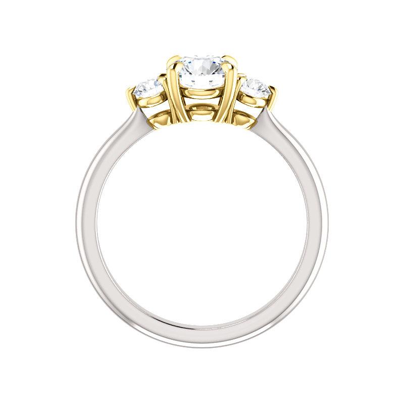 The Tina Round Moissanite Engagement Threestone Ring Setting White Gold Side Profile